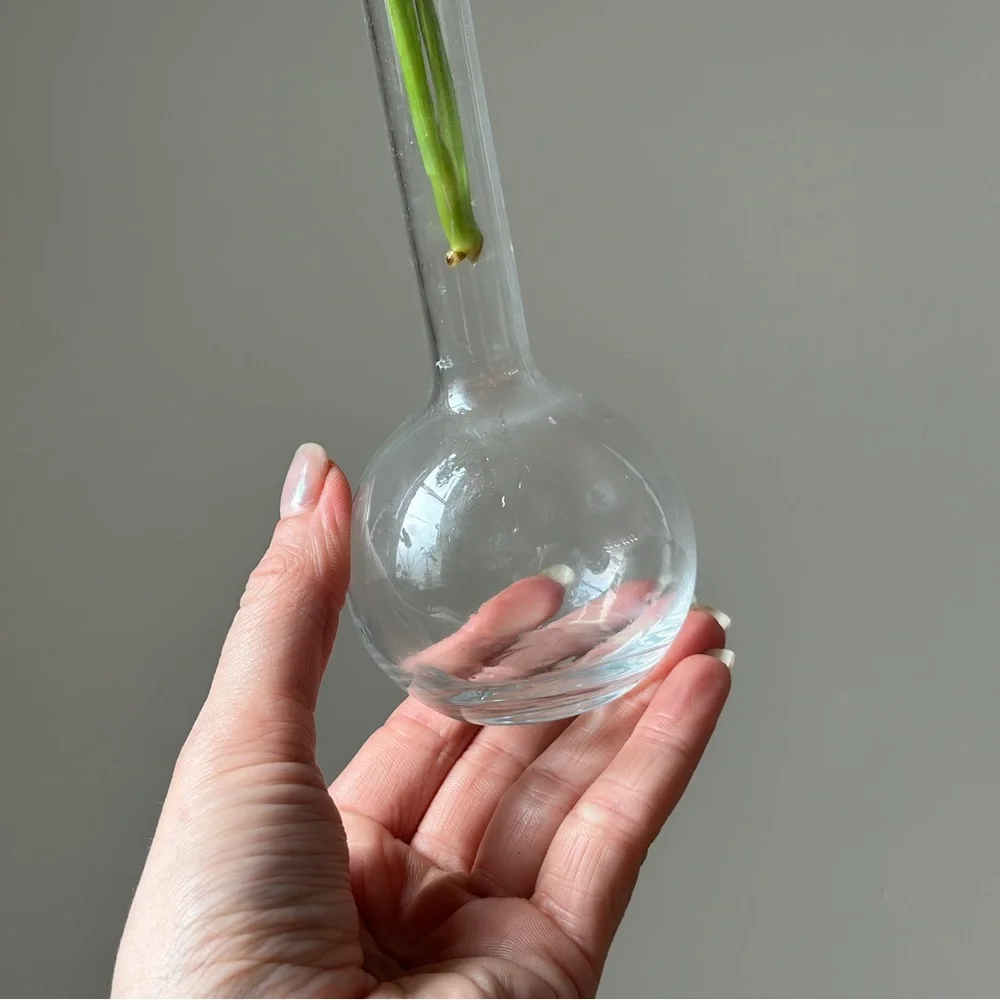 Vintage Clear Glass Propagation Vase Plant Bud Vase